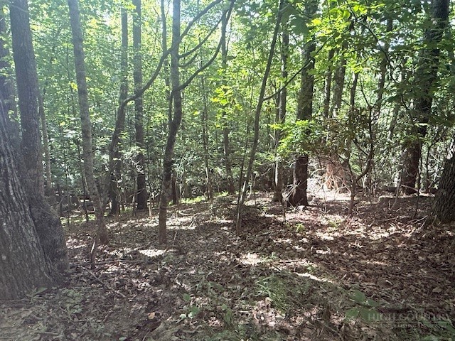 Tbd Austin Taylor Road Property Photo 1