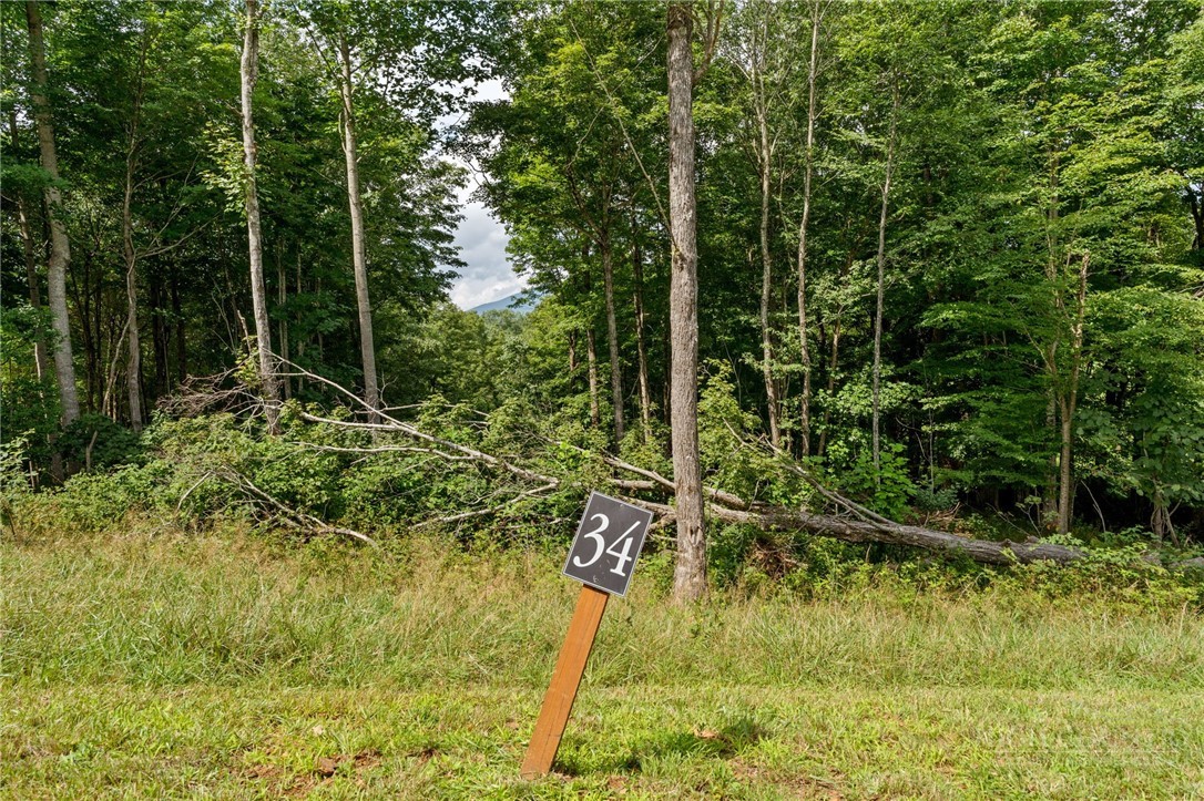 Lot 34 Poplar Forest Drive Property Photo 1