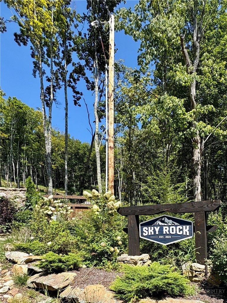 Tbd High Forest Drive Property Photo 1
