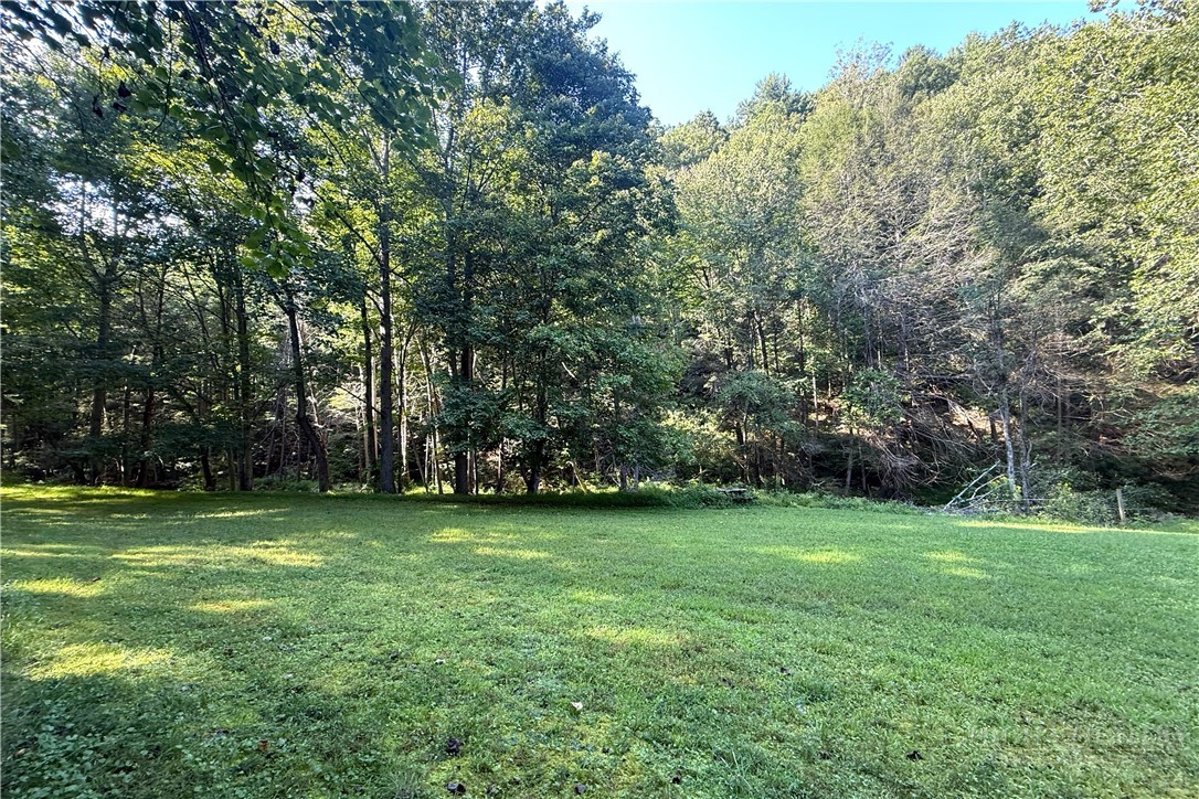 982 Jakes Mountain Road Property Photo 42