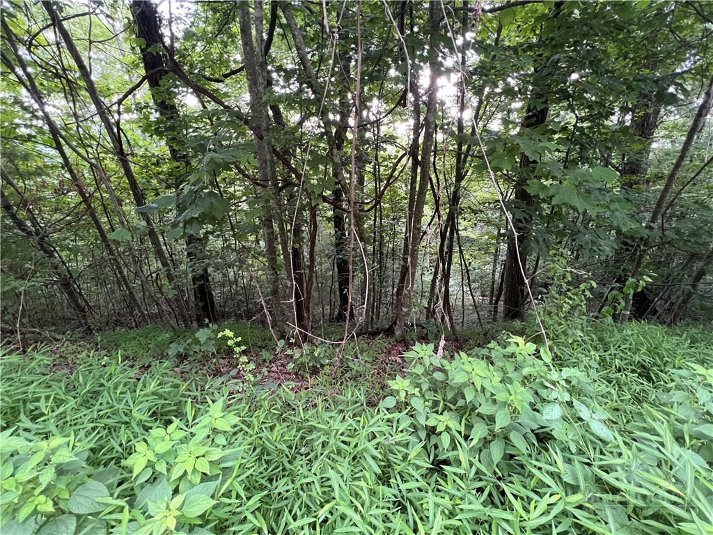 Tbd River Stone Drive Property Photo 1