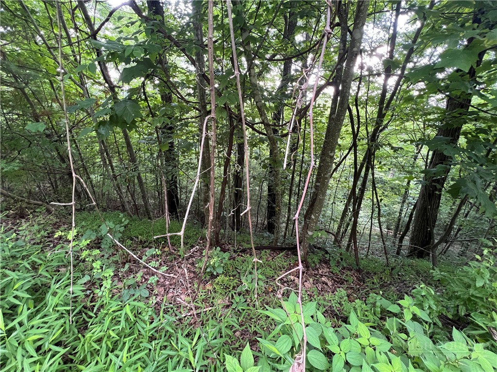 Tbd River Stone Drive Property Photo 11