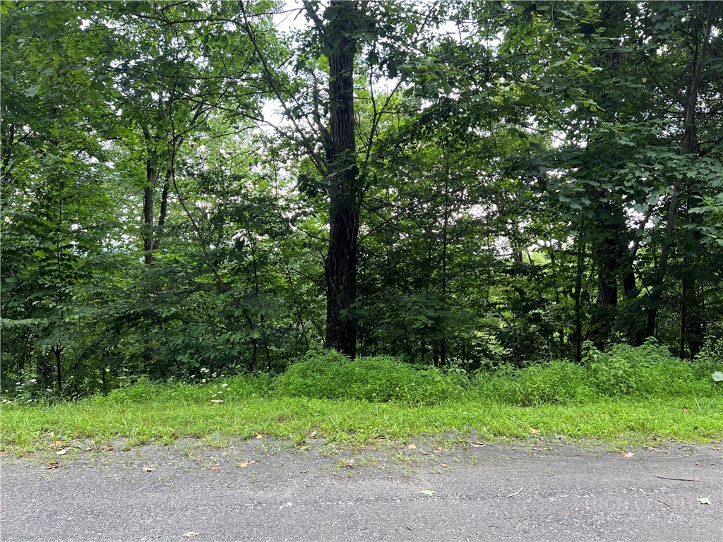 Tbd River Stone Drive Property Photo 12