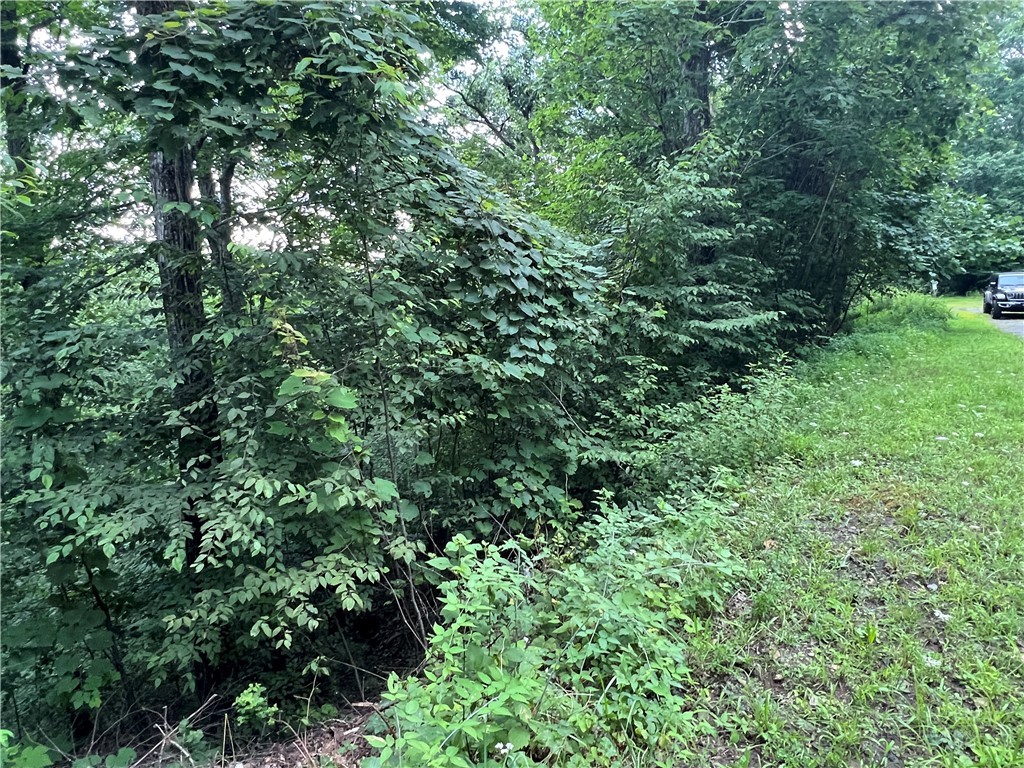 Tbd River Stone Drive Property Photo 14