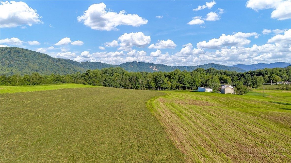 8586 Traphill Road Property Photo 12