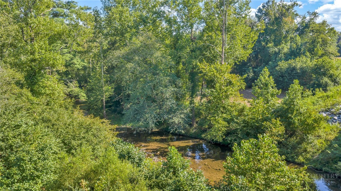 8586 Traphill Road Property Photo 16