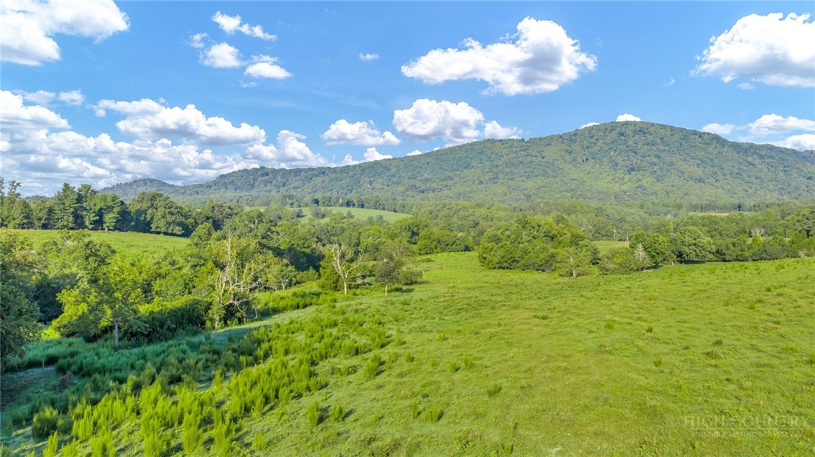8586 Traphill Road Property Photo 34