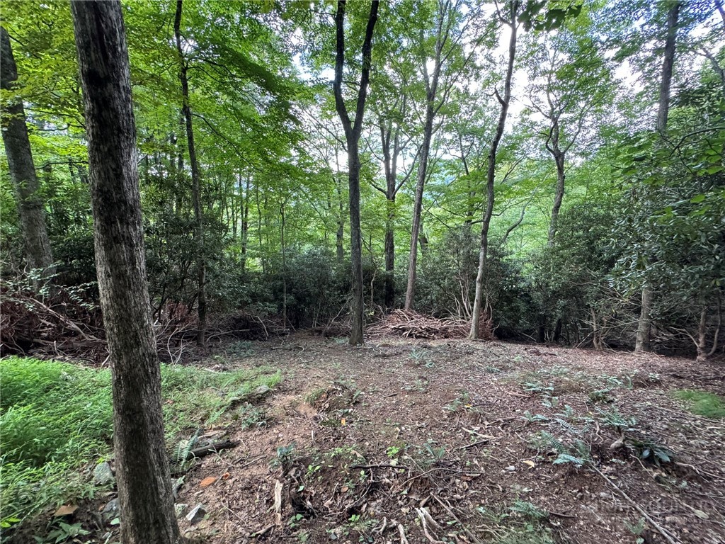 Lot 8 Bear Cub Trail