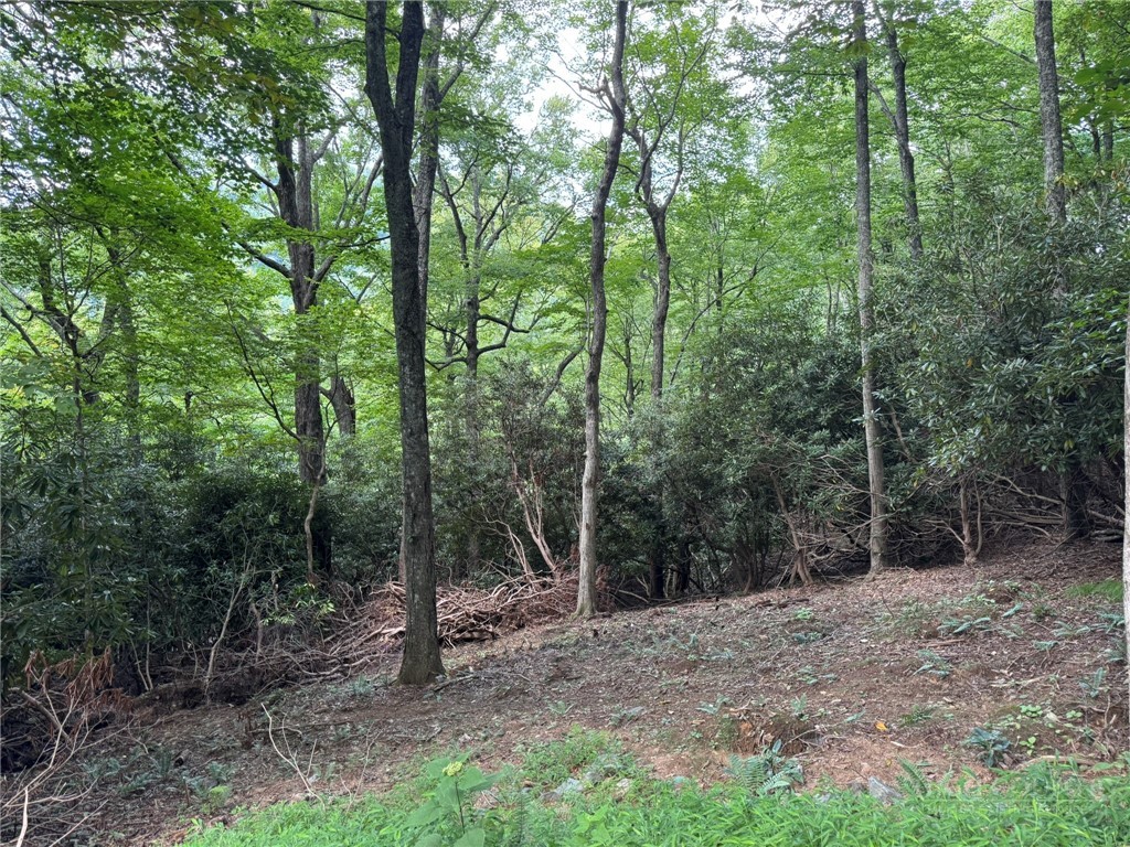 Lot 8 Bear Cub Trail Property Photo 2