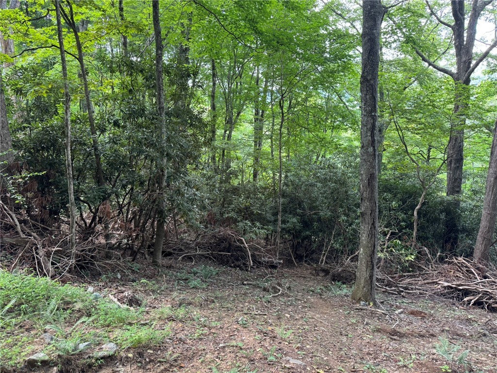 Lot 8 Bear Cub Trail Property Photo 3