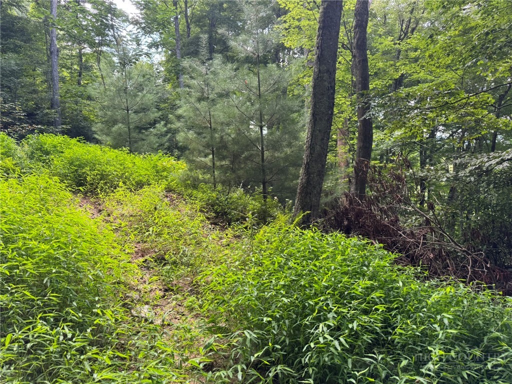 Lot 8 Bear Cub Trail Property Photo 6