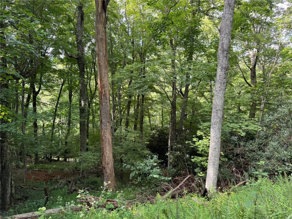 Lot 8 Bear Cub Trail Property Photo 7