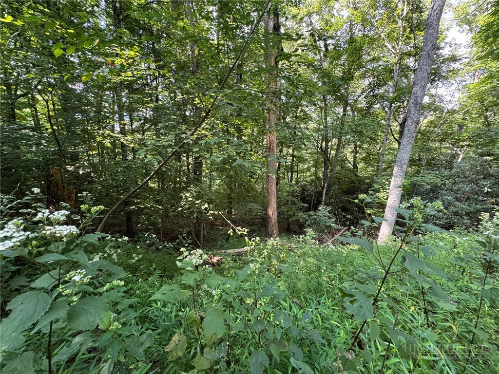 Lot 8 Bear Cub Trail Property Photo 8