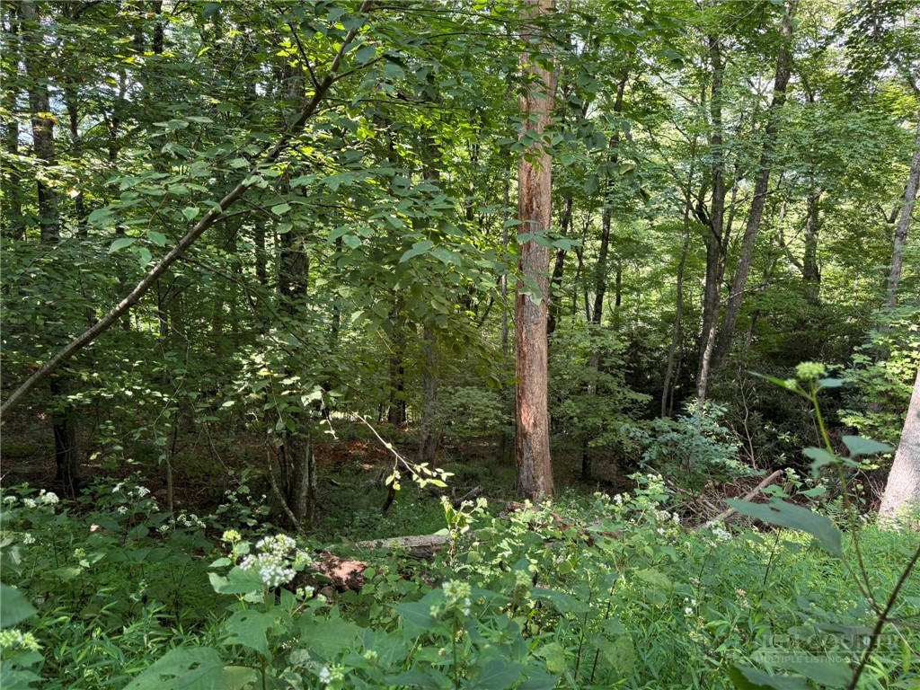 Lot 8 Bear Cub Trail Property Photo 9