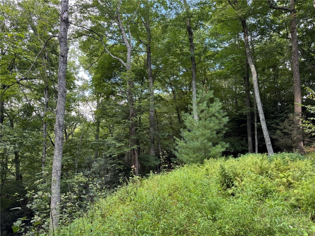 Lot 8 Bear Cub Trail Property Photo 10