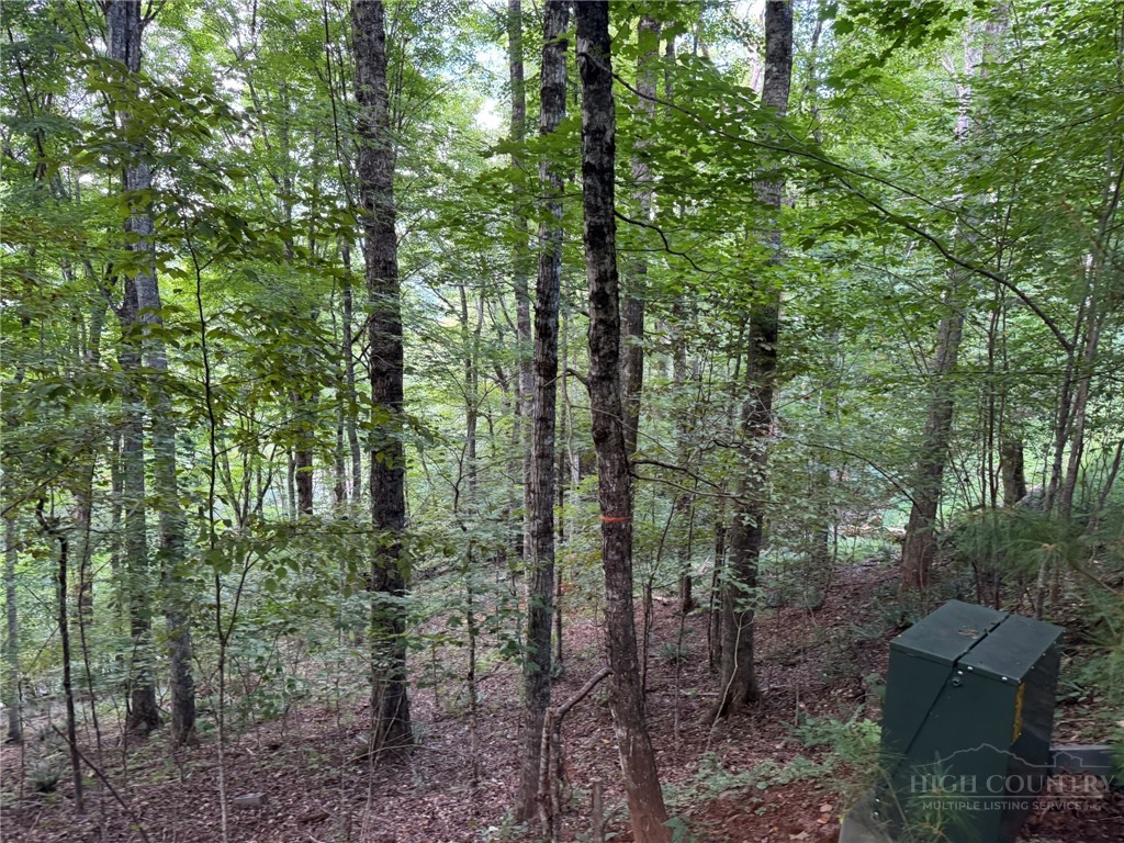 Lot 8 Bear Cub Trail Property Photo 11