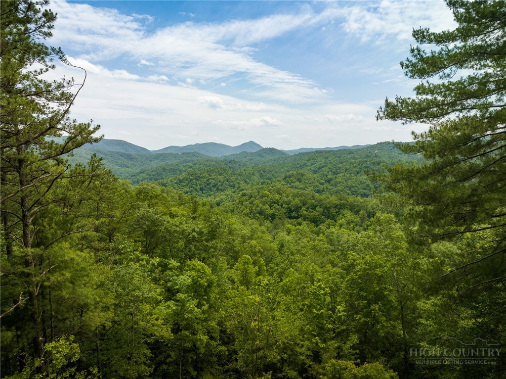1328 Reynolds Parkway Property Photo 1