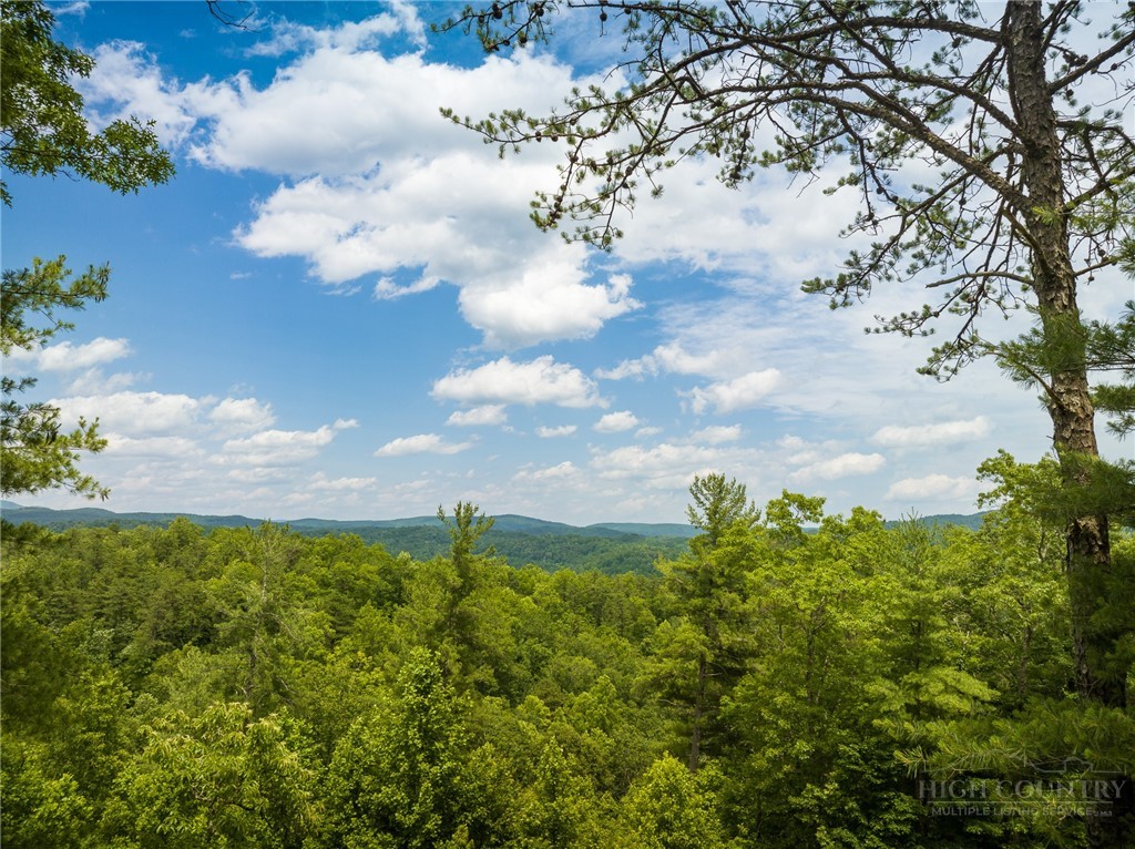 1328 Reynolds Parkway Property Photo 4