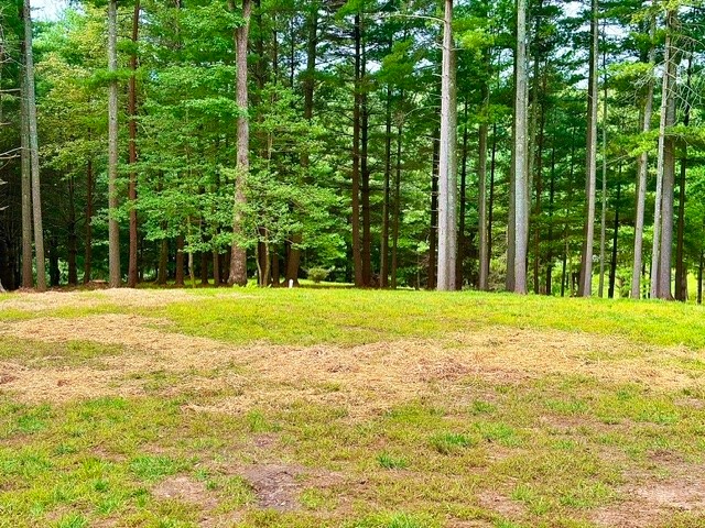 Tbd Lot 48 Gleneagle West Property Photo 1
