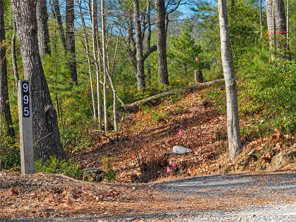 1166 Deer Crossing Lane Property Photo 1