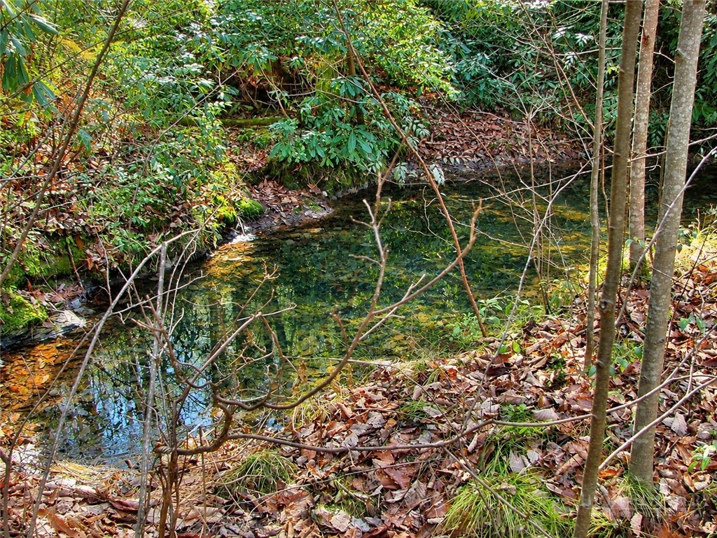 1166 Deer Crossing Lane Property Photo 5