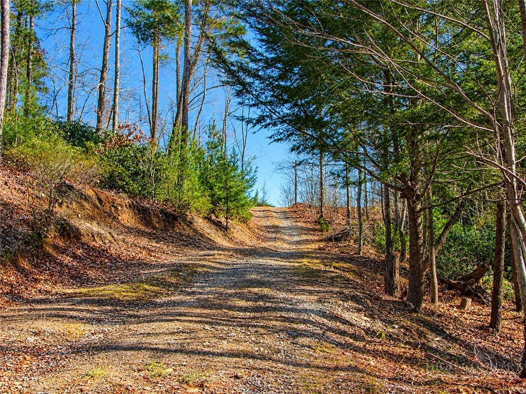 1166 Deer Crossing Lane Property Photo 6
