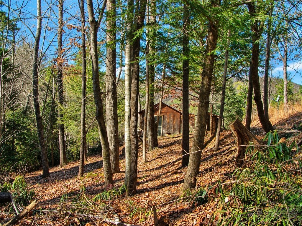 1166 Deer Crossing Lane Property Photo 7