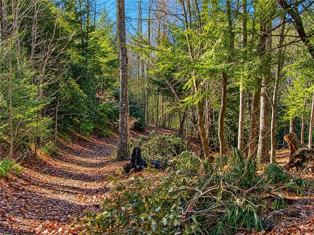 1166 Deer Crossing Lane Property Photo 8