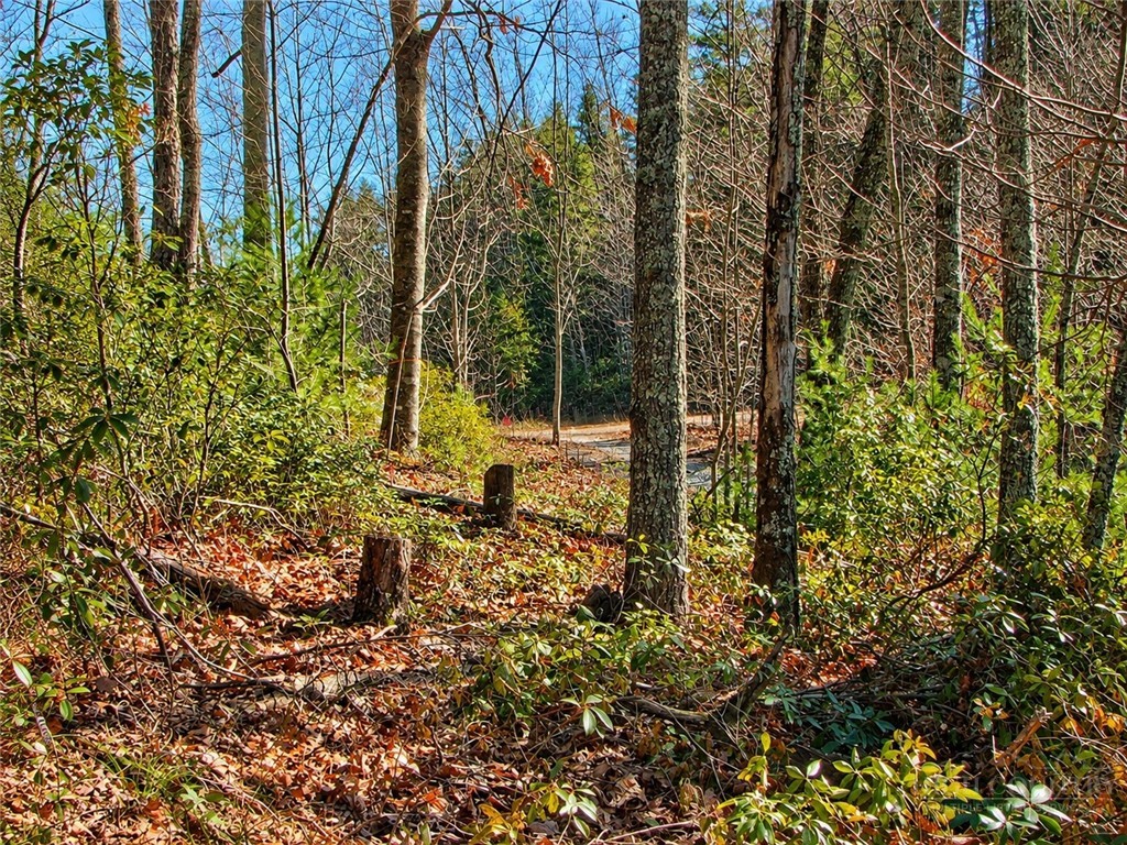 1166 Deer Crossing Lane Property Photo 9