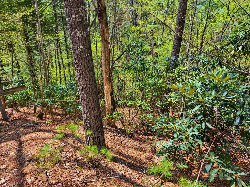 1166 Deer Crossing Lane Property Photo 10