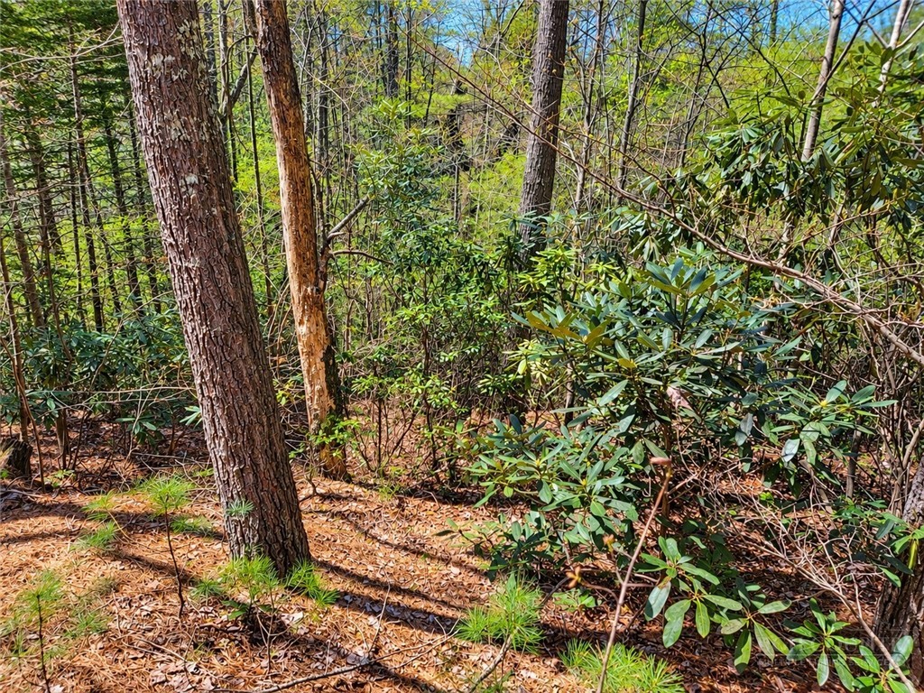 1166 Deer Crossing Lane Property Photo 11