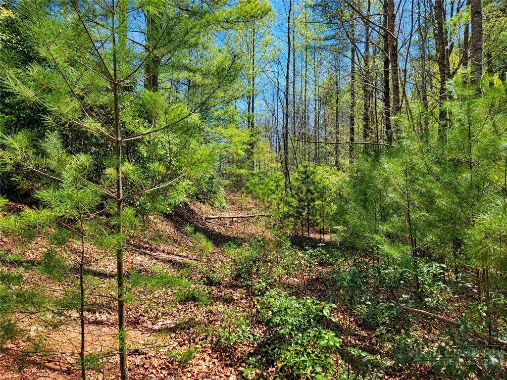 1166 Deer Crossing Lane Property Photo 12