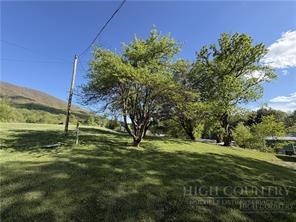 130 Bluegrass Drive Property Photo 16