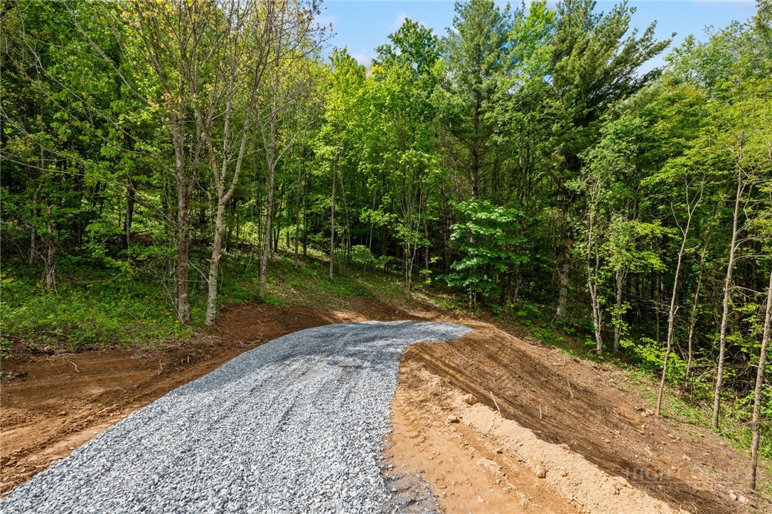 Lot 46 Silver Springs Farm Road Property Photo 1