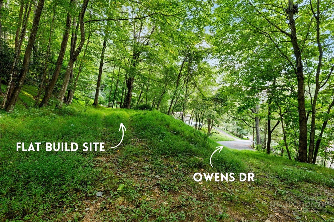 TBD Owens Drive