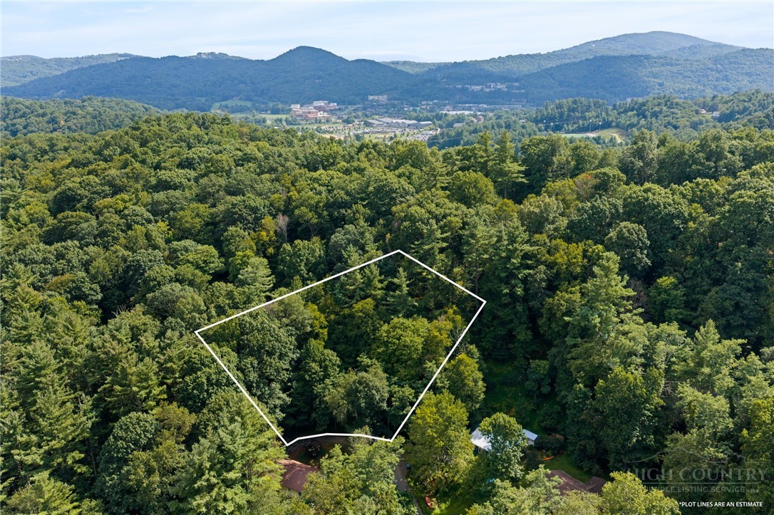 Tbd Owens Drive Property Photo 5