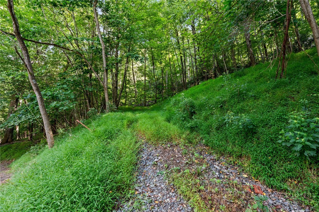 Tbd Owens Drive Property Photo 6