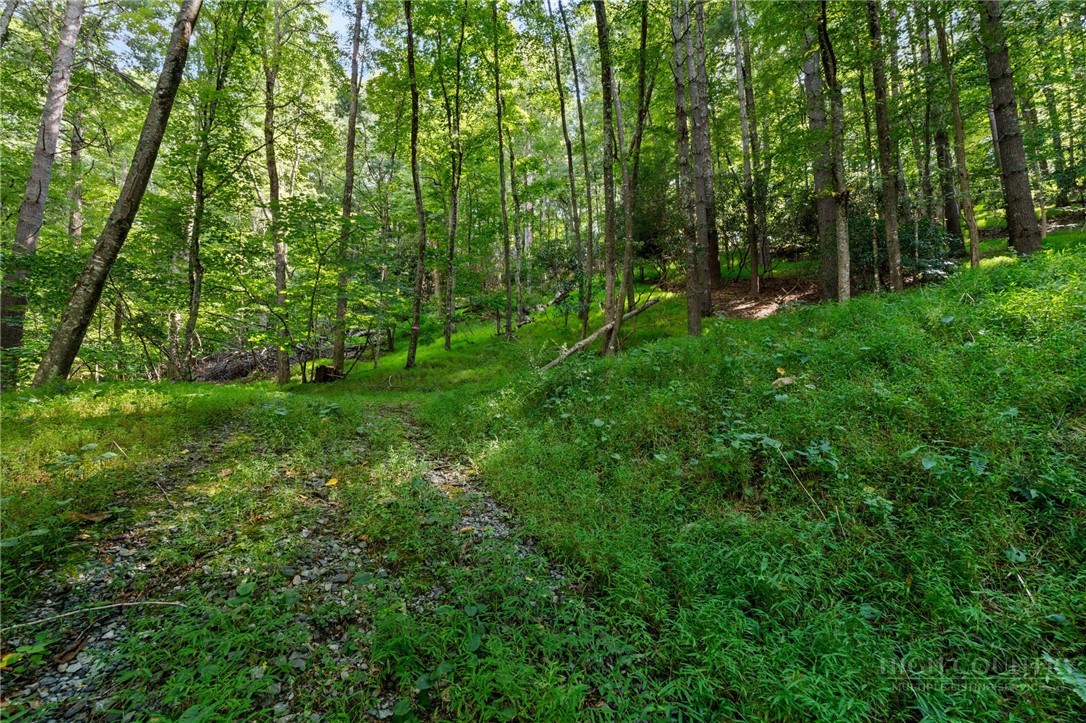 Tbd Owens Drive Property Photo 7