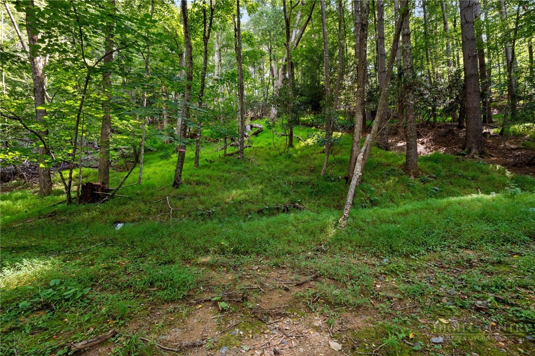 Tbd Owens Drive Property Photo 8