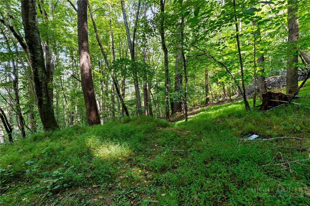 Tbd Owens Drive Property Photo 9