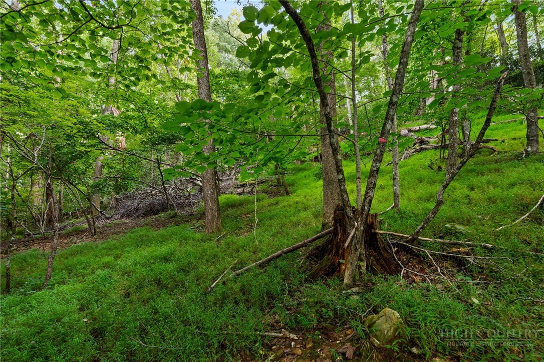 Tbd Owens Drive Property Photo 11