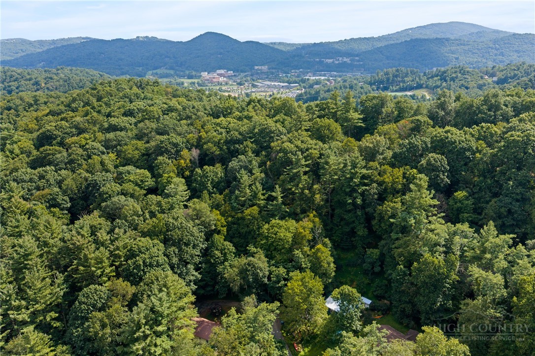 Tbd Owens Drive Property Photo 12