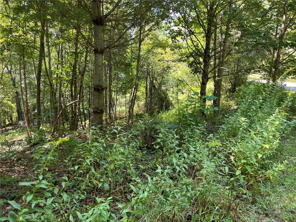 Tbd Abigail Lane Property Photo 1