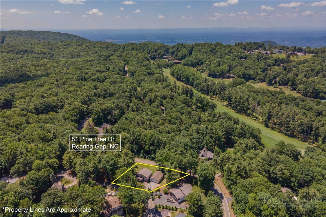 81 Pine Tree Drive Property Photo 3