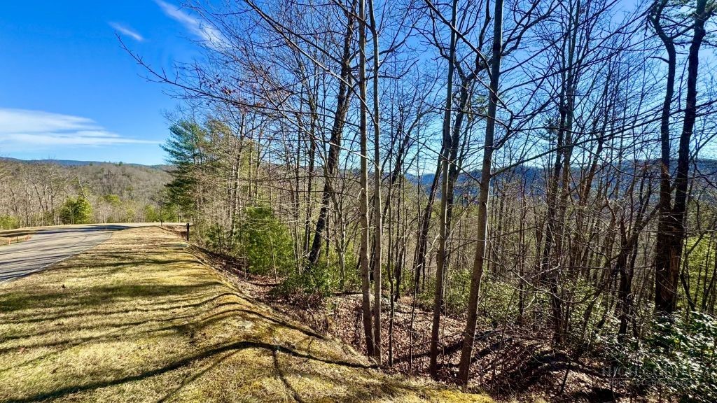 Lot 1003 Reynolds Parkway Property Photo 1