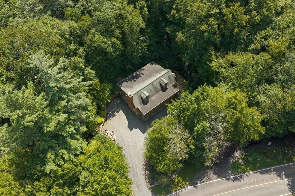 689 Sugar Mountain Drive Property Photo 43