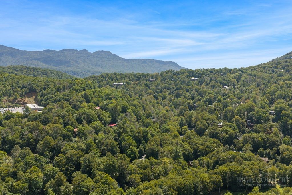 689 Sugar Mountain Drive Property Photo 46