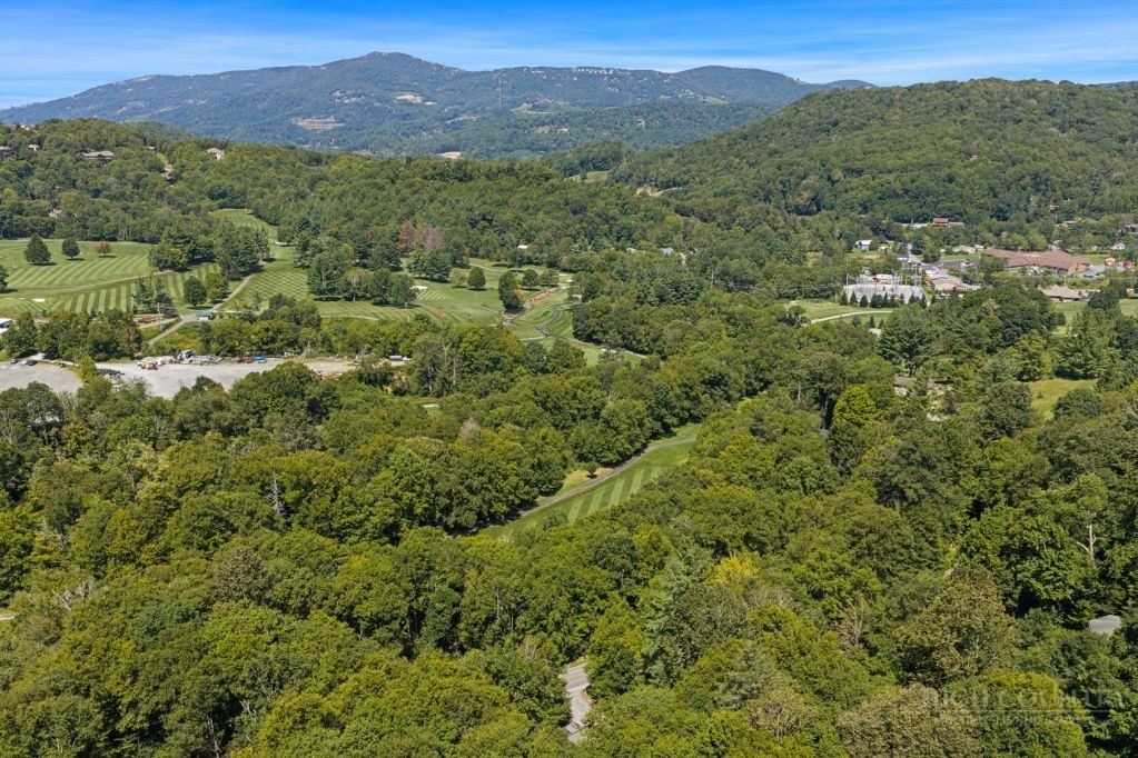 689 Sugar Mountain Drive Property Photo 47
