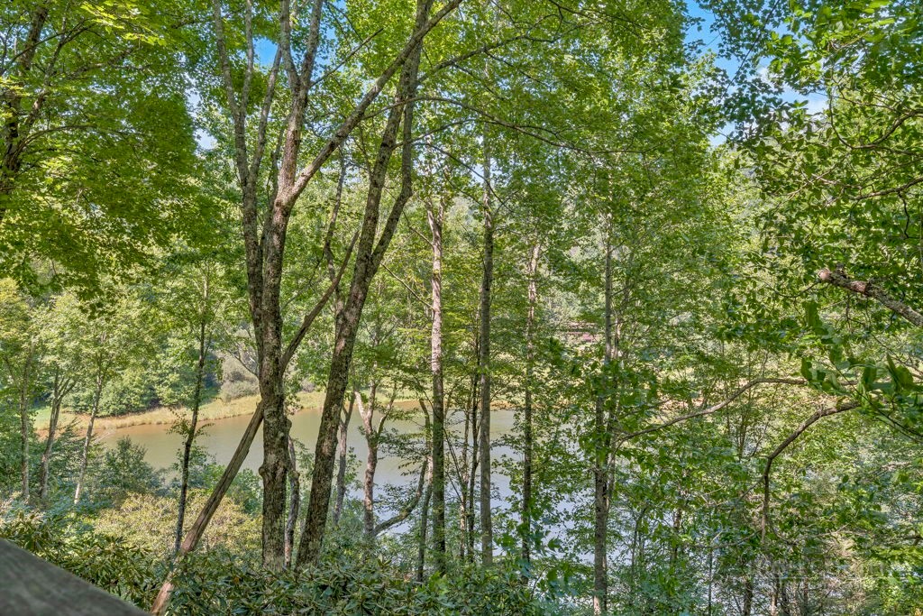 267 Streamside Lane Property Photo 19