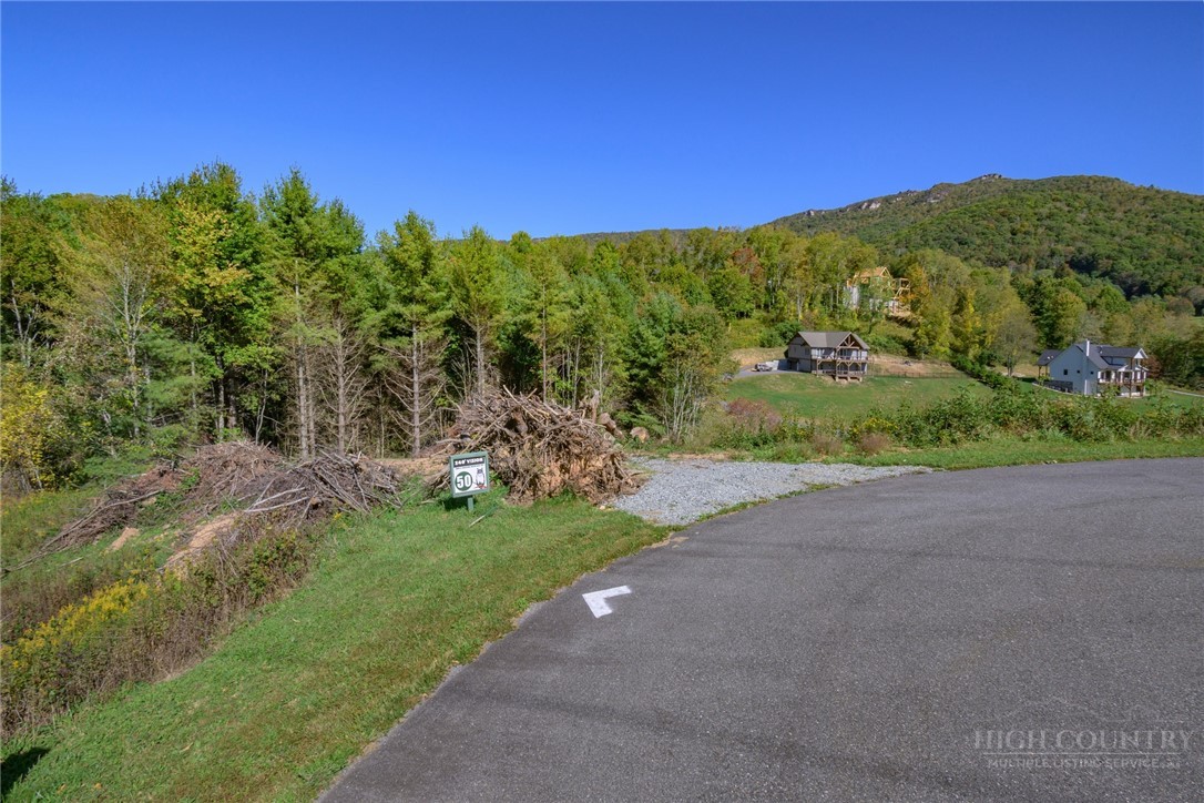 Lot 50 Snow Fox Lane Property Photo 2